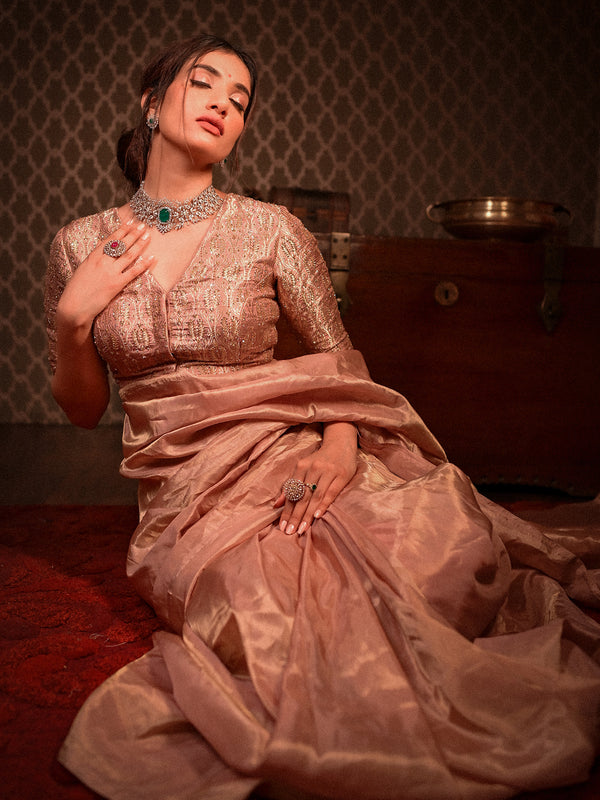 A Show Stealer on its Own: Tissue Saree with Brocade Blouse