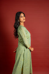 Sage green with blue dots handloom panel top with thread and mirror work and tie and dye pant